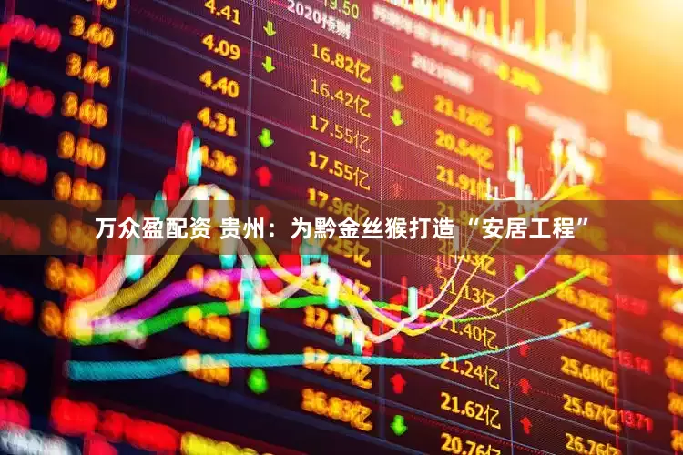 万众盈配资 贵州：为黔金丝猴打造 “安居工程”