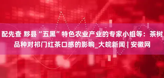 配先查 黟县“五黑”特色农业产业的专家小组等：茶树品种对祁门红茶口感的影响_大皖新闻 | 安徽网