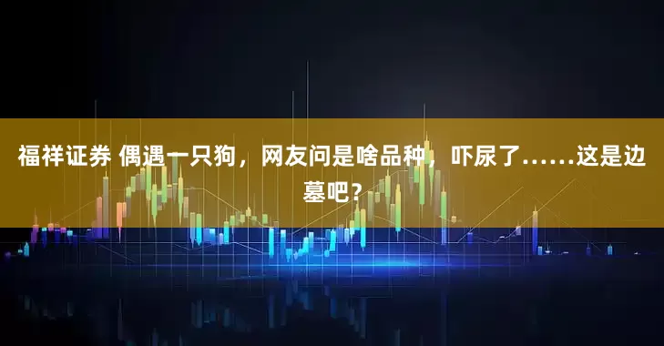 福祥证券 偶遇一只狗，网友问是啥品种，吓尿了……这是边墓吧？