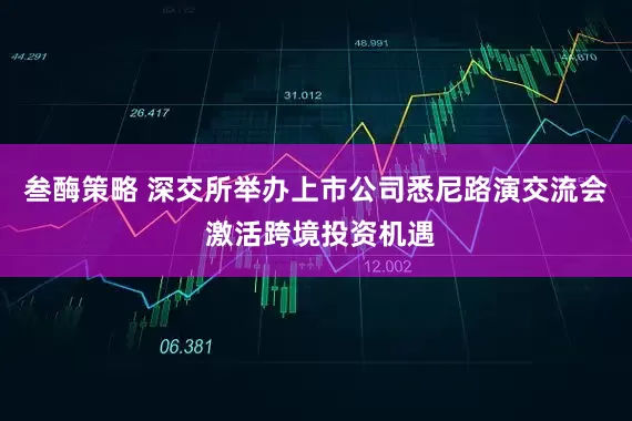 叁酶策略 深交所举办上市公司悉尼路演交流会 激活跨境投资机遇
